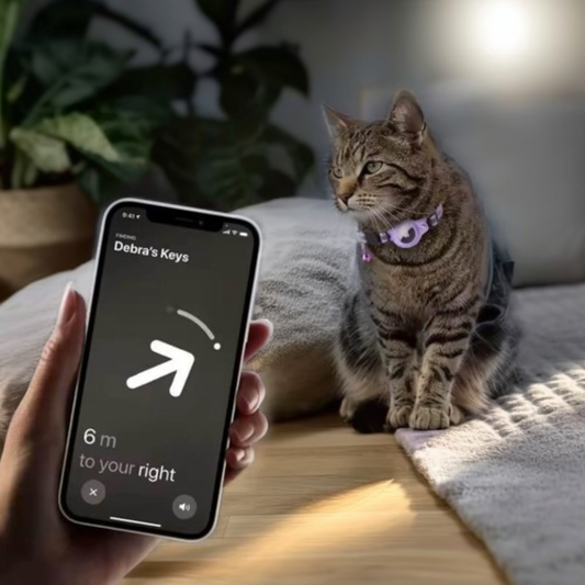 Reflektierendes Katzenhalsband mit Sicherheitsverschluss & Airtag-Halterung