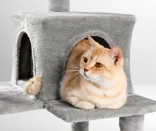 Katzenkratzbaum mit Höhlen, Spielzeug & Hängematte – stabil & gemütlich