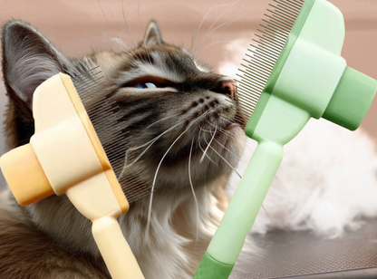 Duo-Katzenhaarbürste
