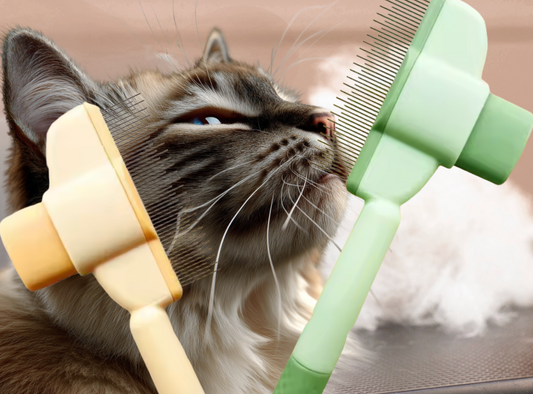 Duo-Katzenhaarbürste