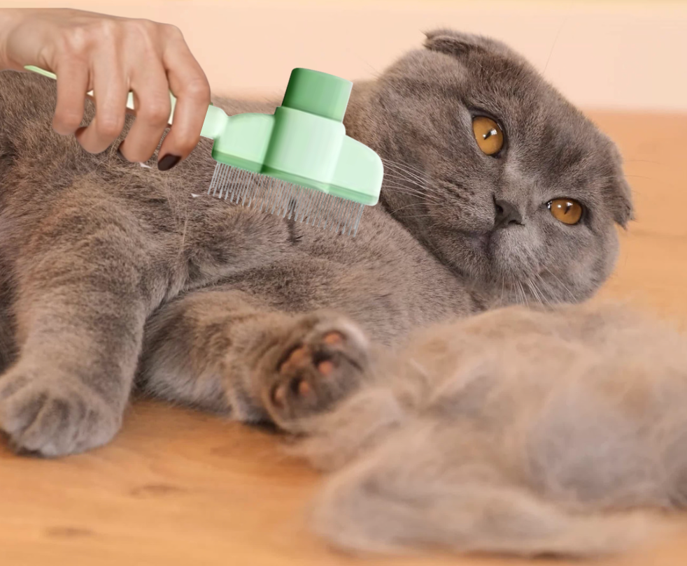 Duo-Katzenhaarbürste