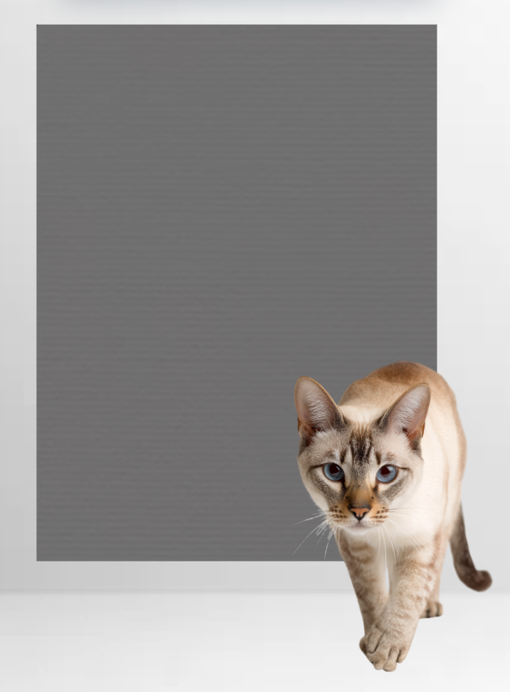 Katzen-Kratzmatte für Sofa & Möbel – selbstklebend & zuschneidbar