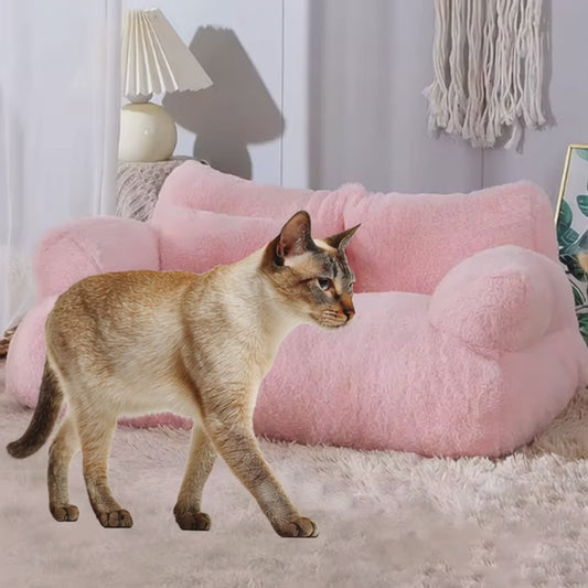 Kuscheliges Katzen-Sofa für Wärme & Geborgenheit